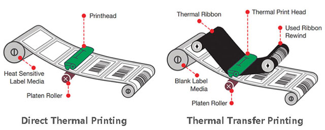 Direct Thermal and Thermal Transfer Printing